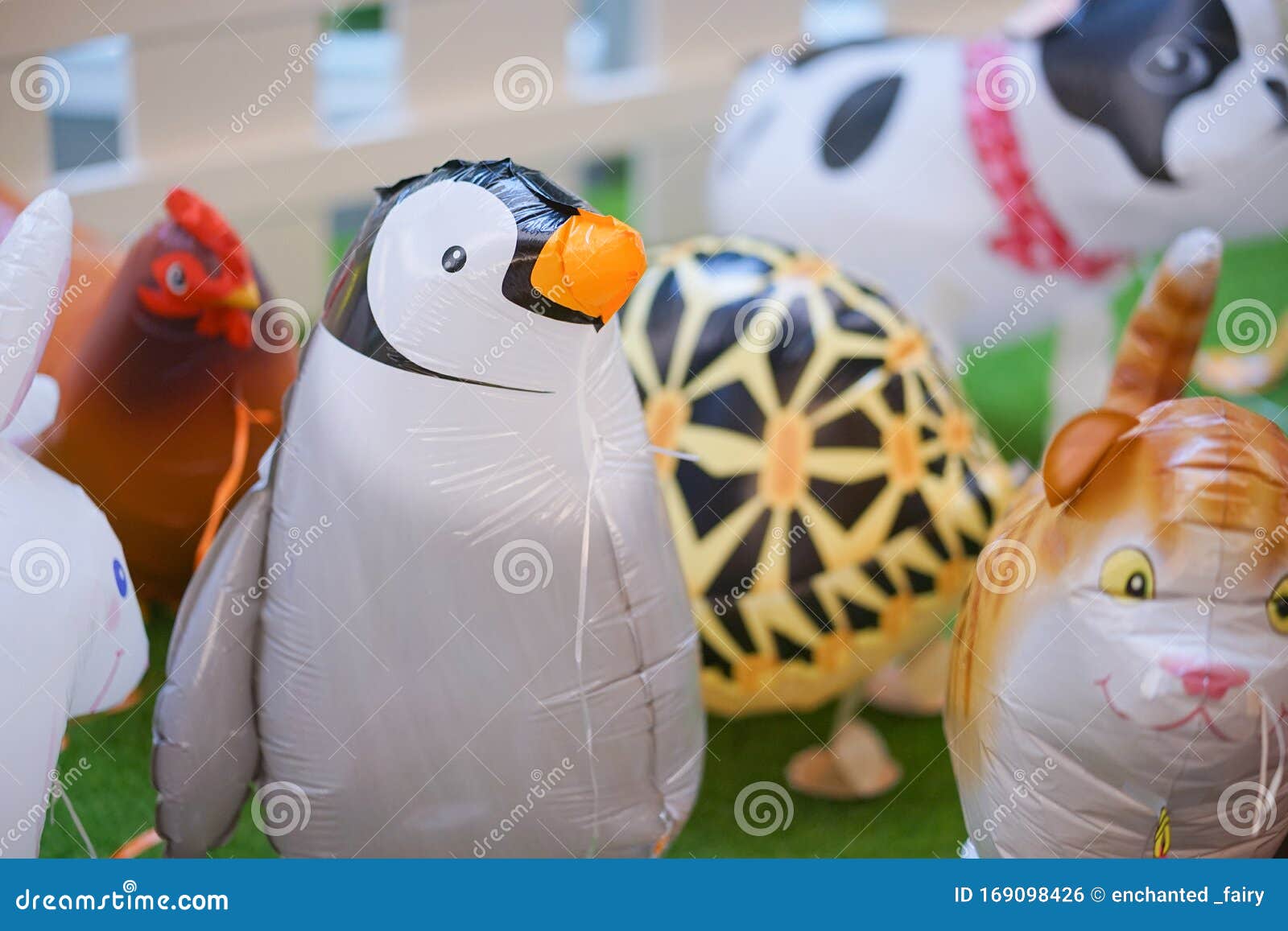 Ballons Animaux Beaucoup De Ballons D'hélium Des Animaux Avec Le