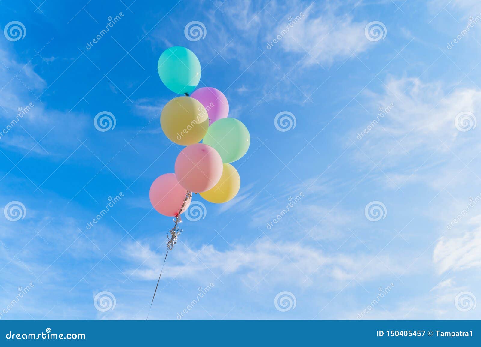Ballons Colores D Isolement Sur Le Fond Clair De Ciel Bleu Dans Le Joyeux Anniversaire Concept De Partie De Celebration Image Stock Image Du Fond Bleu Ballons Colores D Isolement Sur Le Fond Clair De Ciel Bleu Dans Le Joyeux Anniversaire Concept De Partie De Celebration Image Stock Image Du Fond Bleu