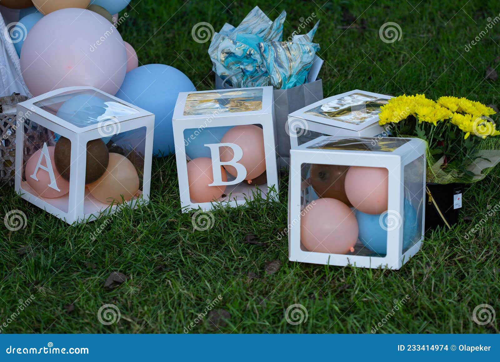 Ballons De Douche Bébé Et Cubes Sur L'herbe Pique-nique Style Boho Photo  stock - Image du fond, enfant: 233414962