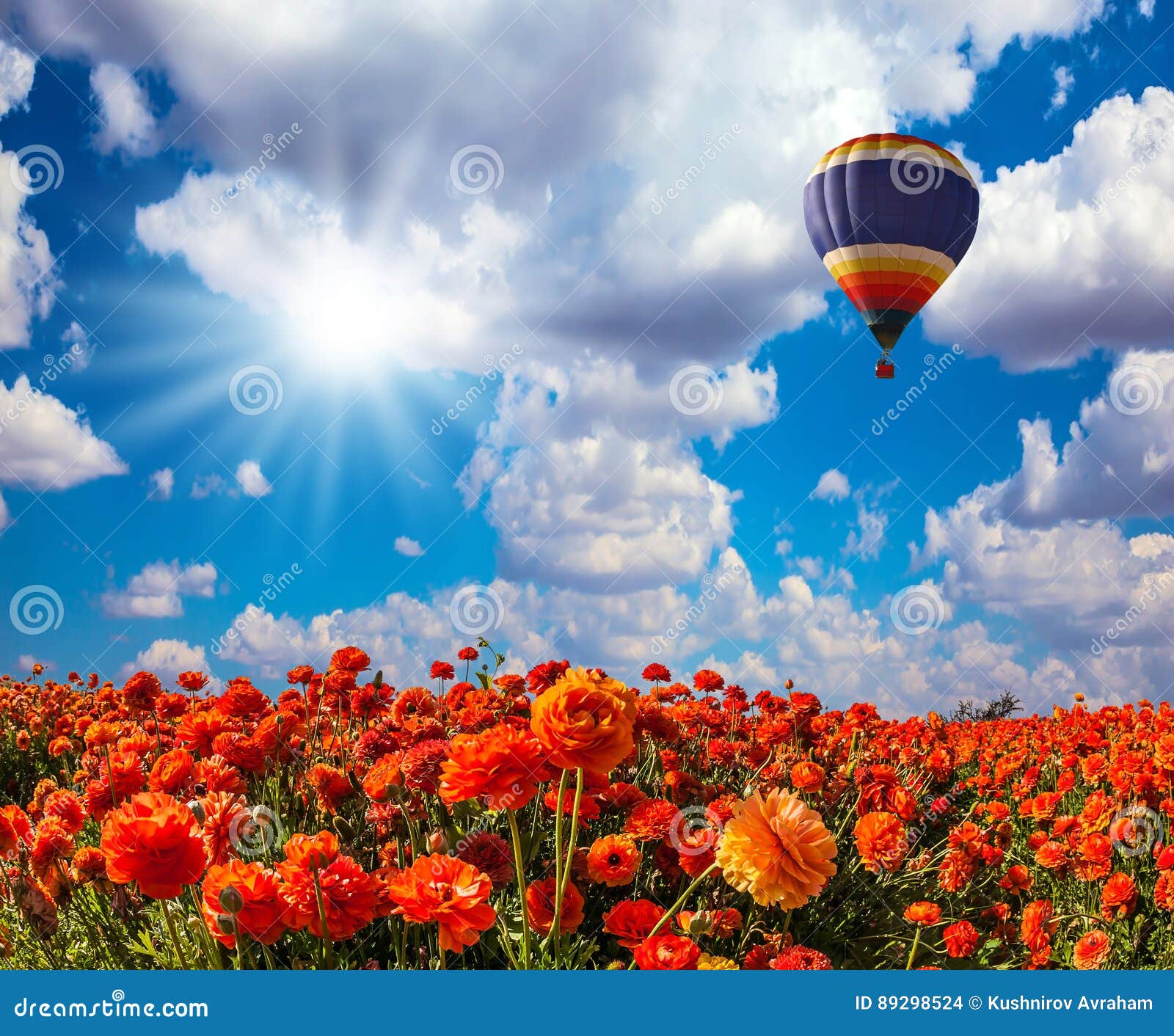 The Balloon Flying Over Fields Stock Photo - Image of balloons, tourism ...