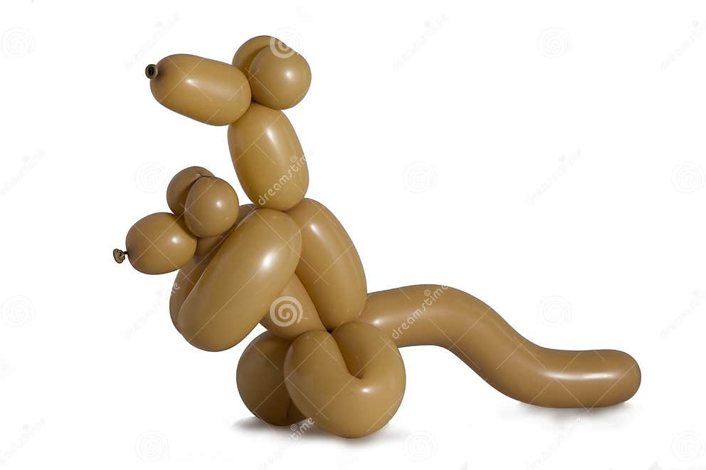 Balloon kangaroo stock photo. Image of play, craft, sculpture 56836650