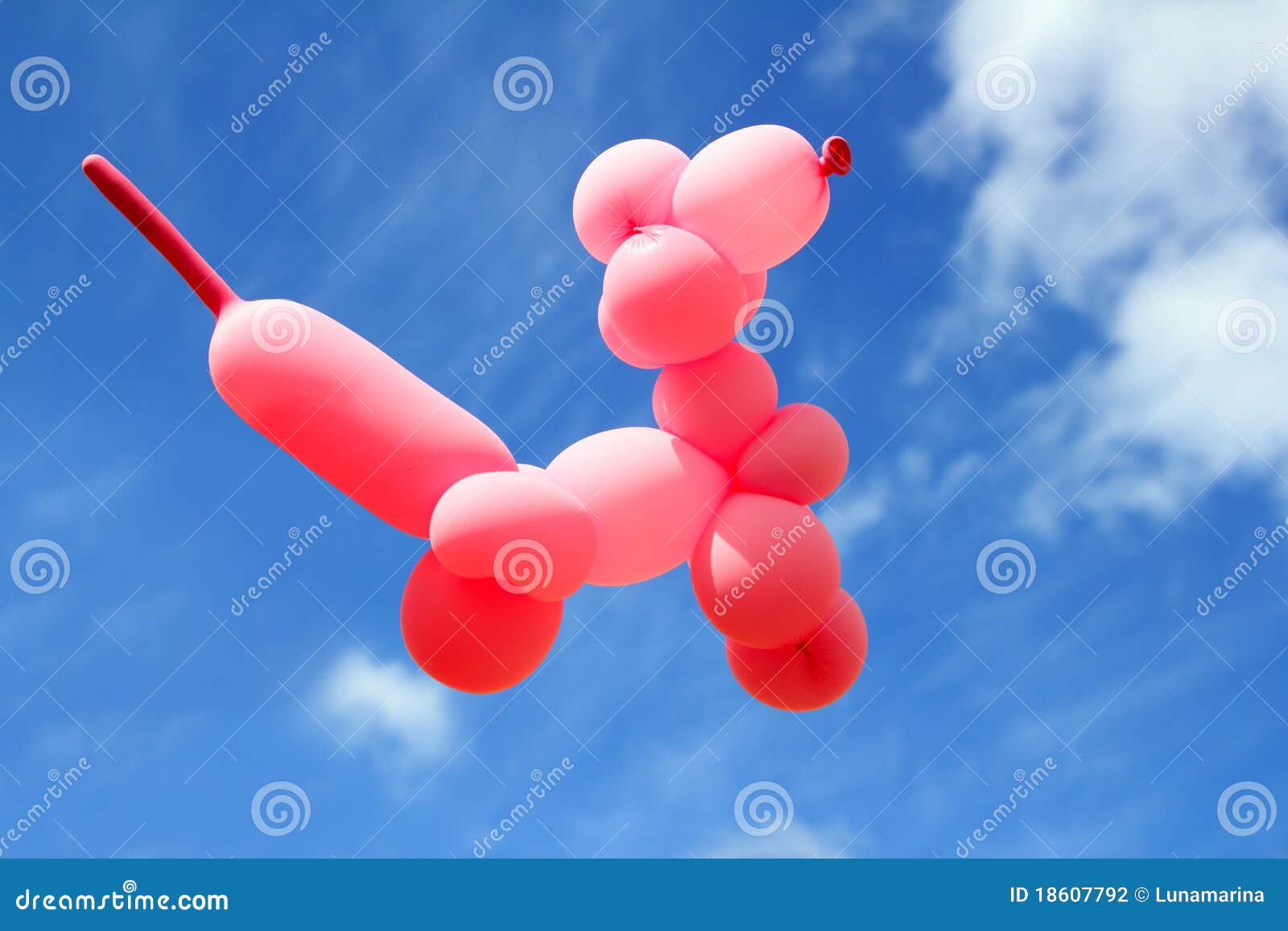 balloon with poodle dog caniche  fly blue sky