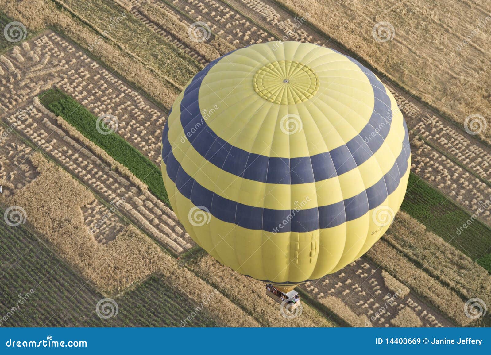 balloons over farmland