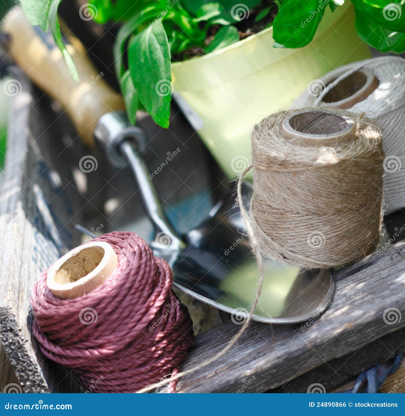 Balls of Twine for Tying Up Plants Stock Photo Image of health, cord