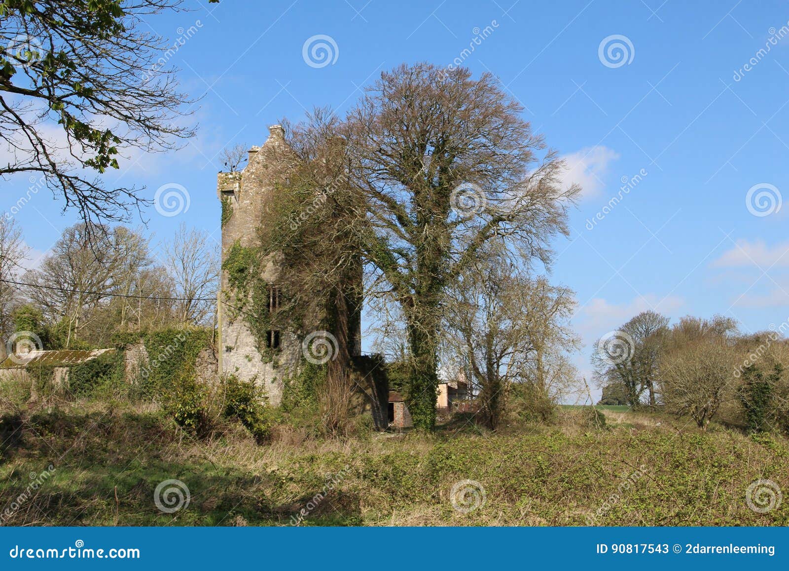 Ballyclogh-Schloss Cork Ireland Stockbild - Bild von himmel, aufsatz ...