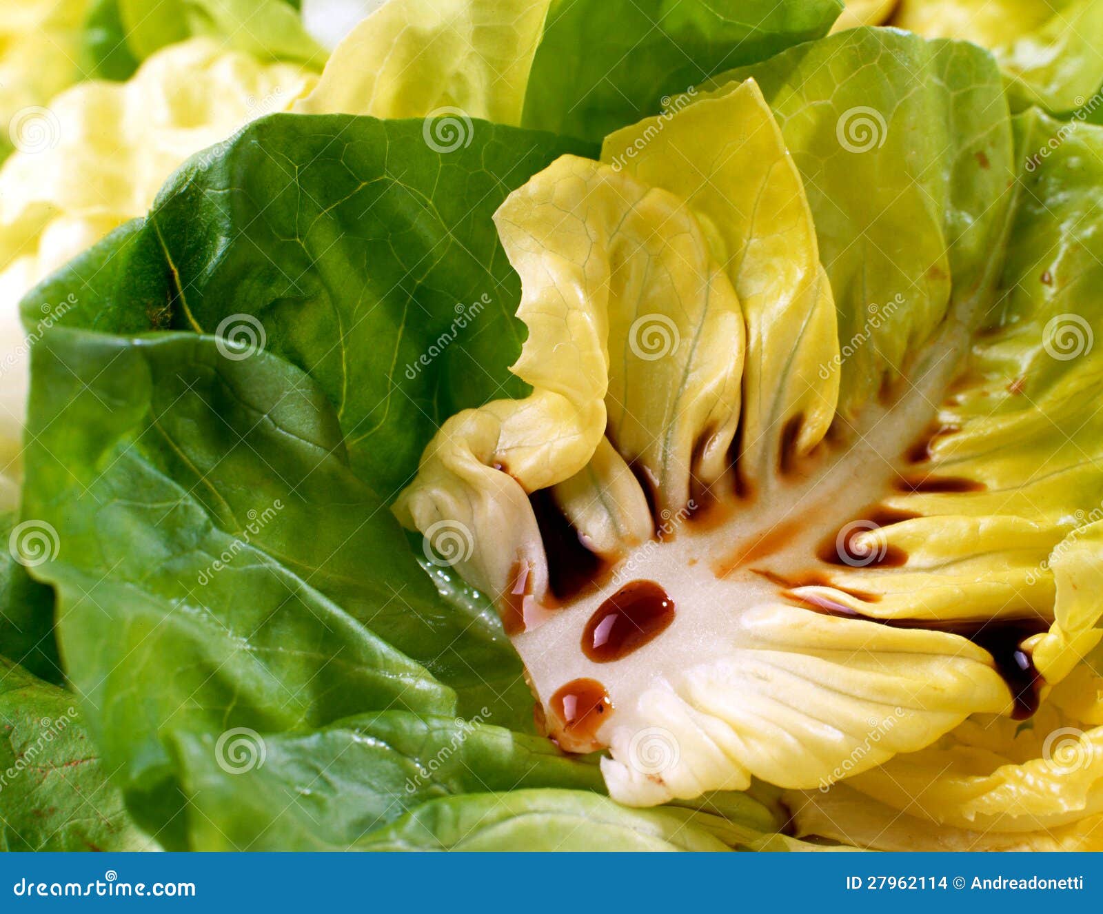Balsamic Vinegar on Lettuce Stock Photo Image of green, fresh 27962114