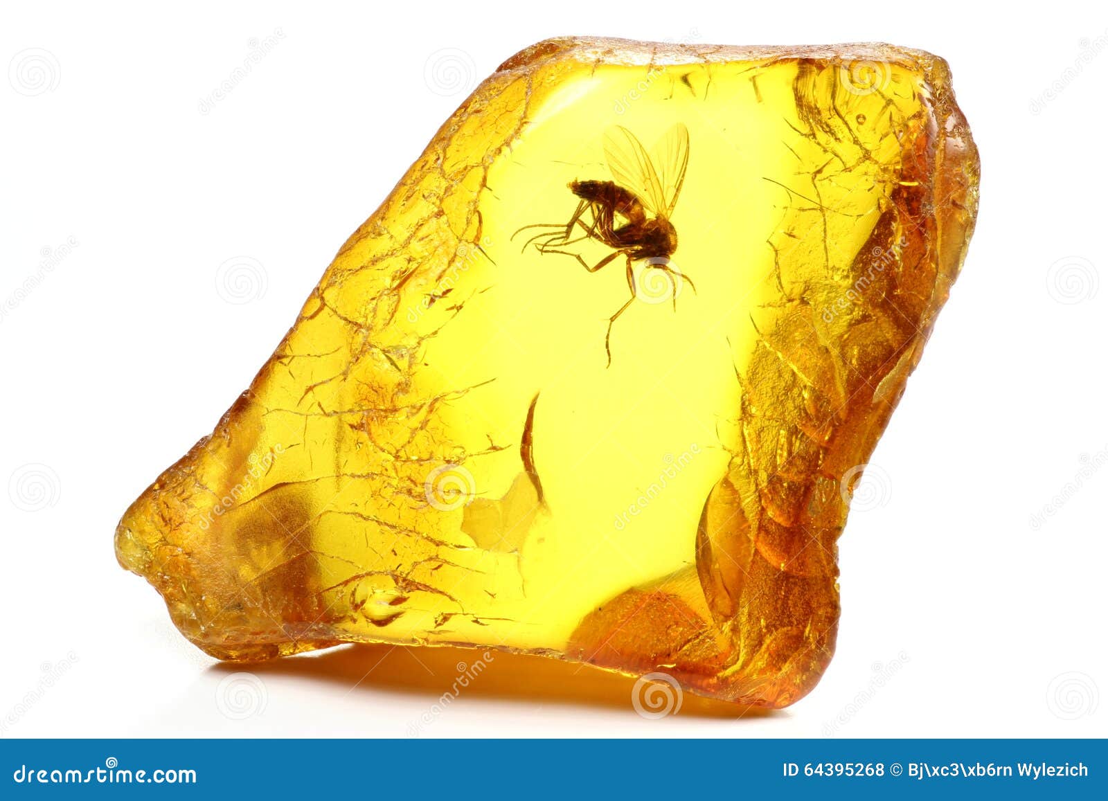 baltic amber