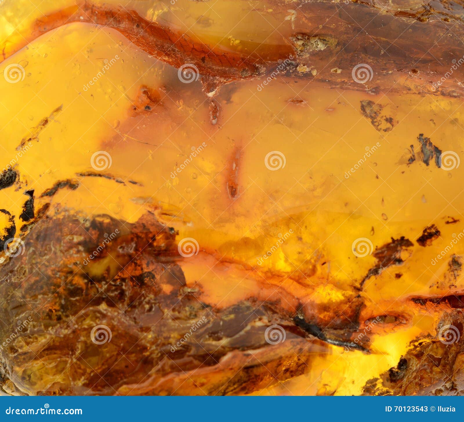 Baltic amber stock image. Image of expensive, natural 70123543