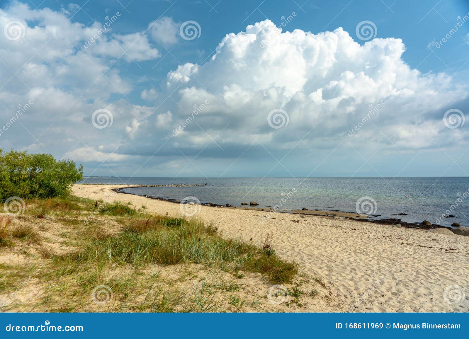 Sportsmand årsag Foreman The Baltic Sea from the South East Coast of Sweden Stock Image - Image of sunshine, summer: 168611969 Sportsmand årsag Foreman The Baltic Sea from the South East Coast of Sweden Stock Image - Image of sunshine, summer: 168611969