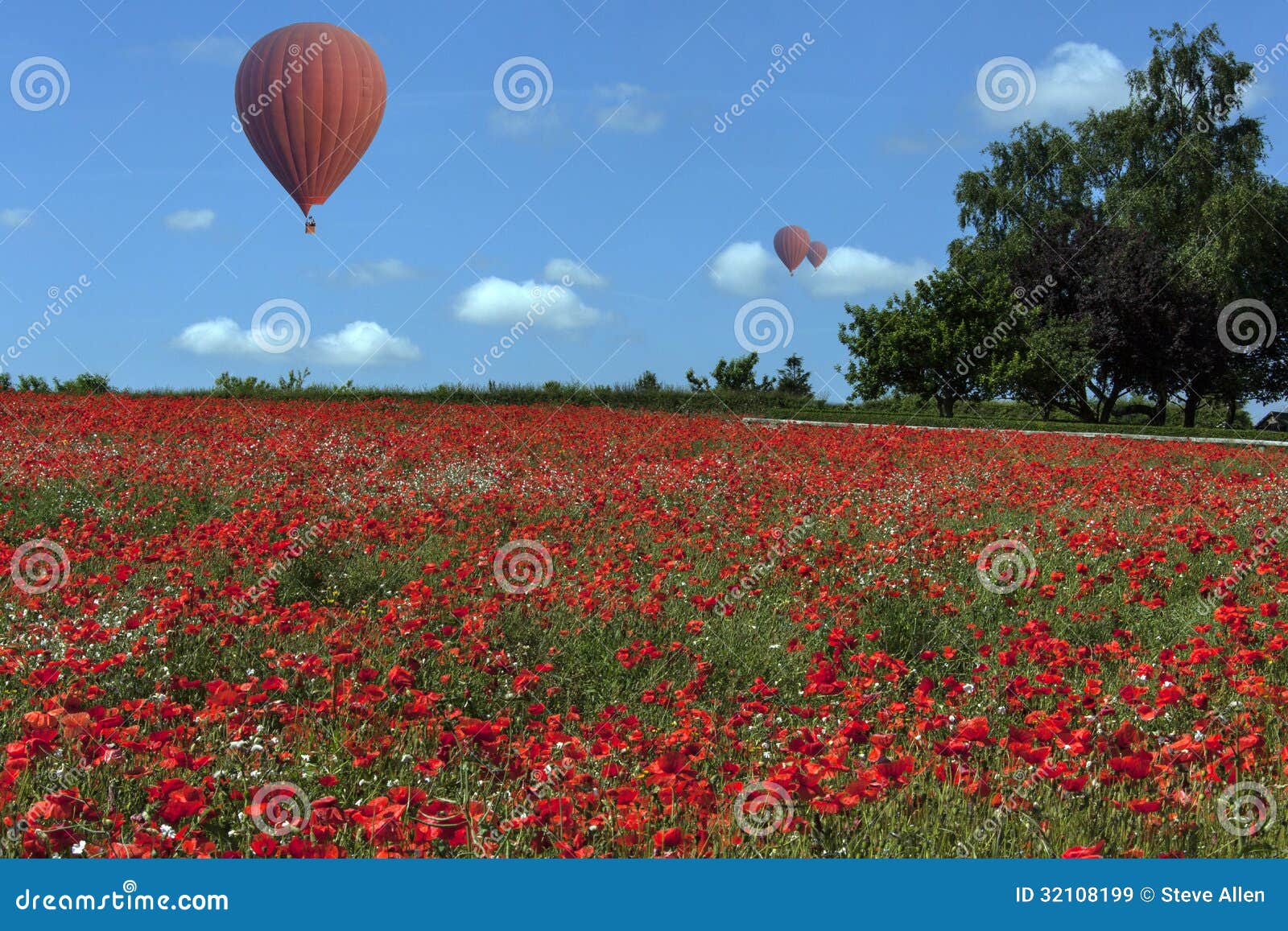 Balão de ar quente - Poppy Field - Inglaterra. Ballons do ar quente que derivam sobre um campo colorido das papoilas no campo de Yorkshire em Inglaterra do nordeste.