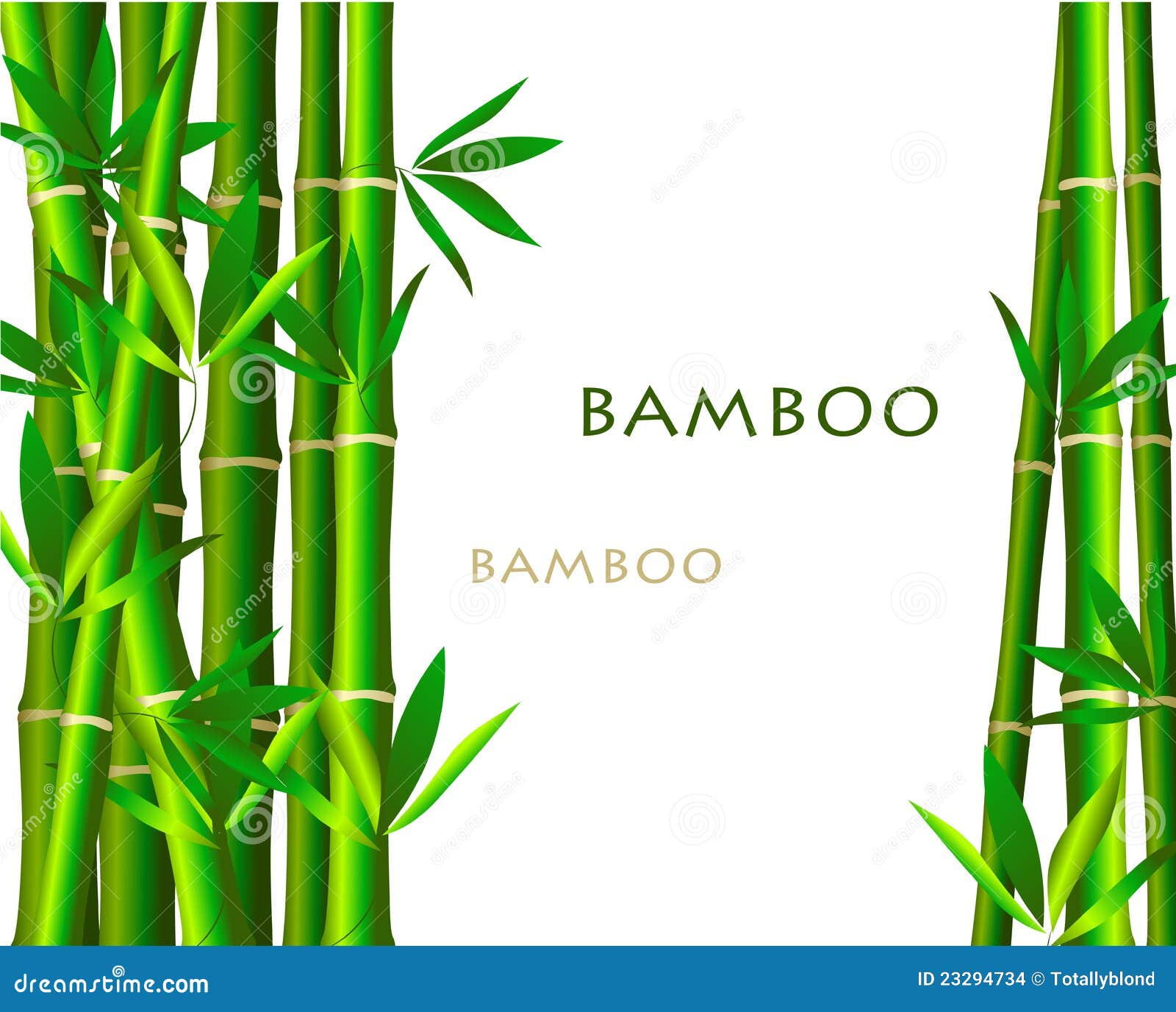 Bambú sobre fondo blanco ilustración del vector. Ilustración de chino -  23294734, image size:1600x1377