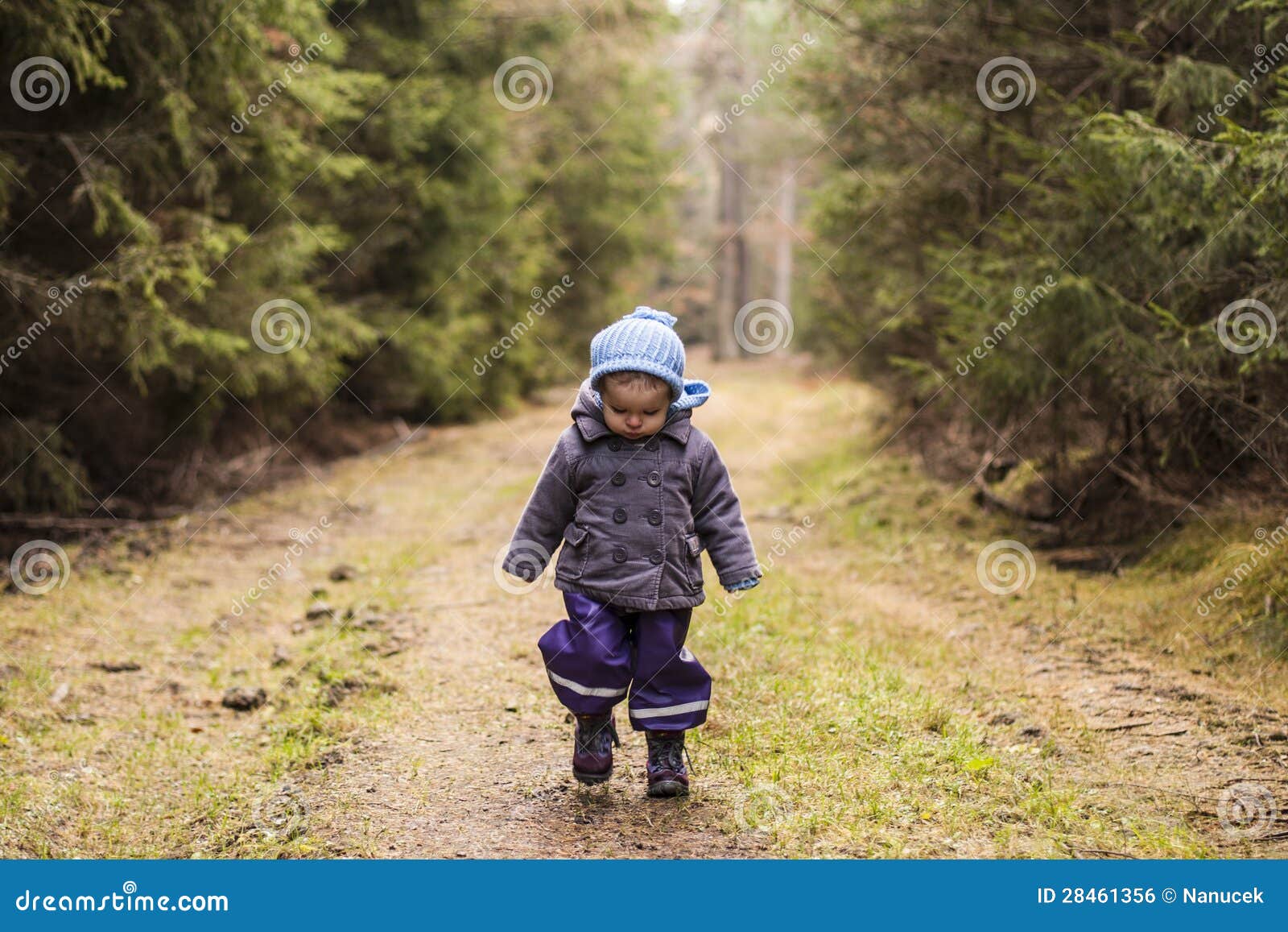 Sognare Una Bambina Che Cammina Bambina Che Cammina Attraverso Il Legno Fotografia Stock - Immagine di
