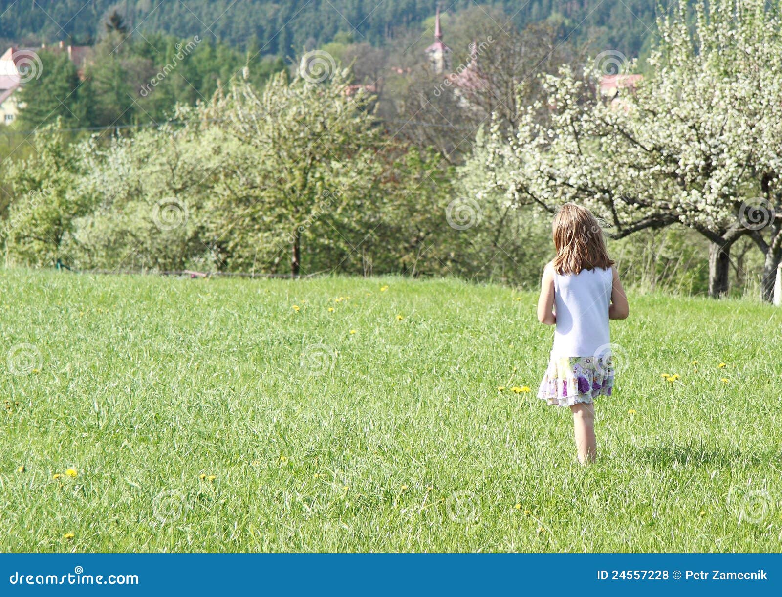 Sognare Una Bambina Che Cammina Bambina Che Cammina In Primavera Fotografia Stock - Immagine di prato