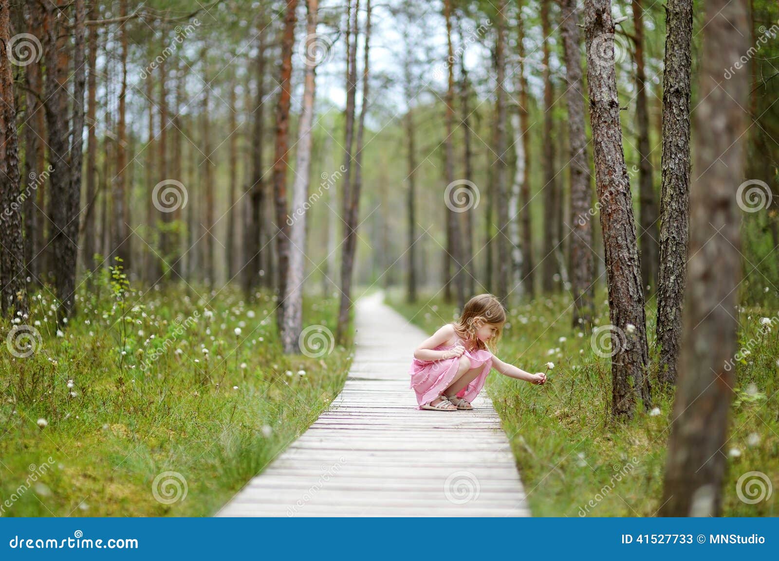 Sognare Una Bambina Che Cammina Bambina Sveglia Che Cammina Nel Legno Immagine Stock - Immagine di