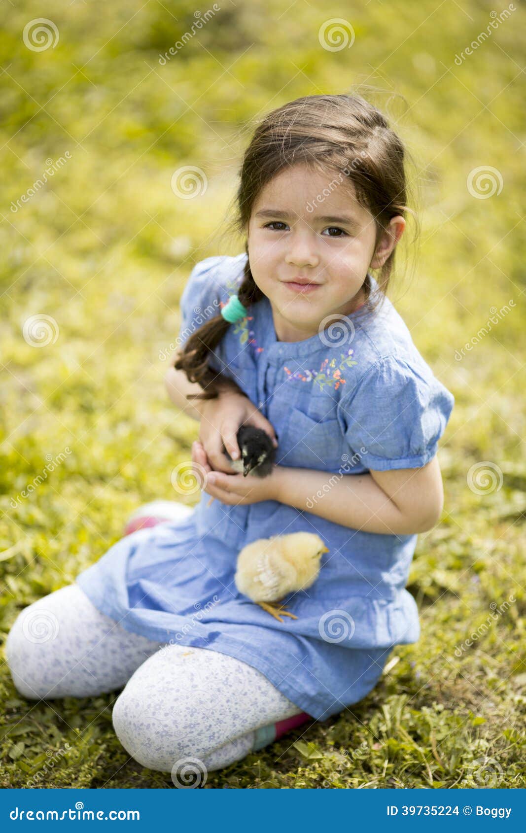 Bambina Sveglia Con I Polli Fotografia Stock - Immagine di allegro