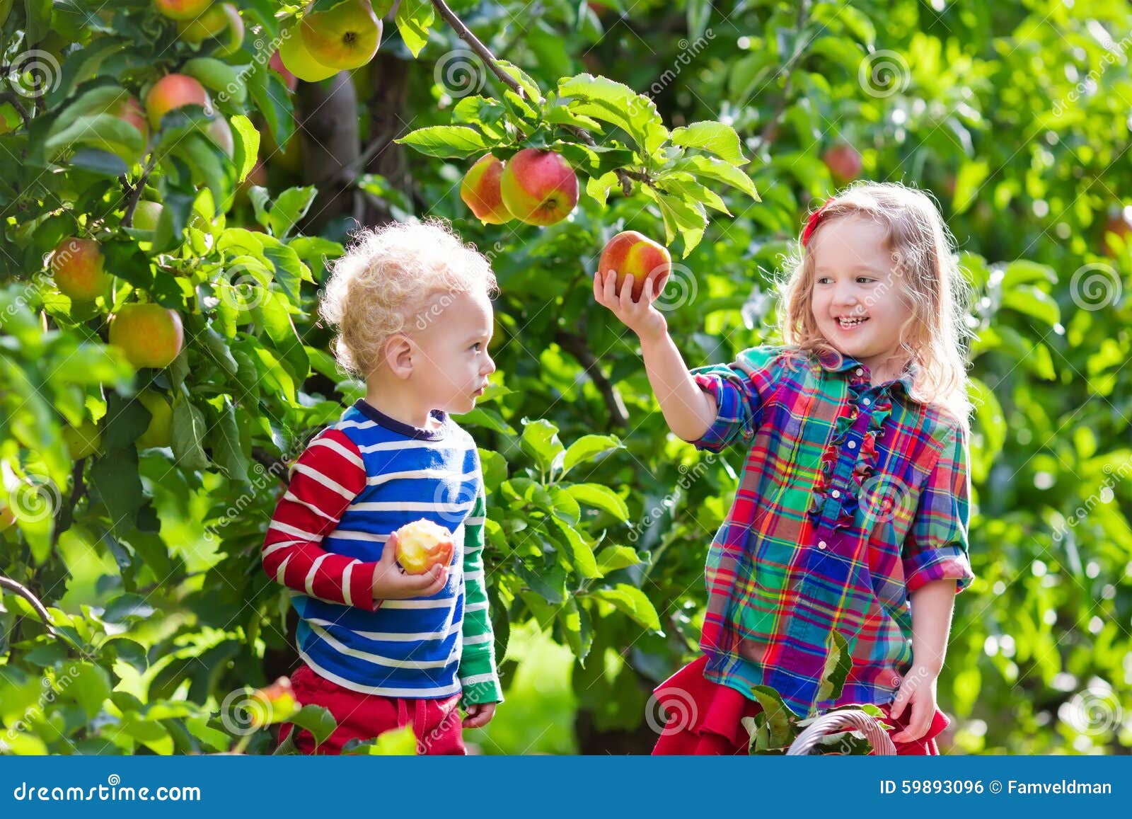 Ребенку можно свежее яблоко