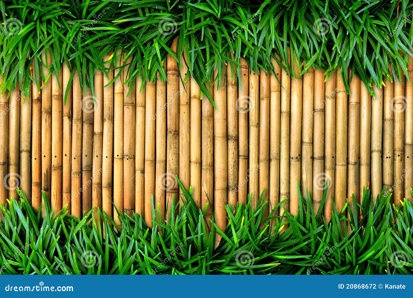 Биг бамбук big bamboo vip. Бамбук трава. Тростник фон. Фон бамбук дерево. Бамбук паттерн.