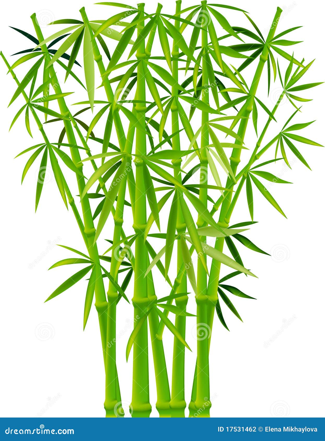 3d 2d drawing and 17531462 Photography Stock Bamboo Image: 3d 2d drawing and 17531462 Photography Stock Bamboo Image: