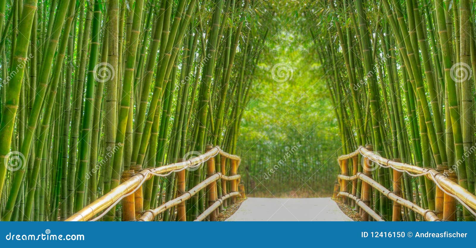 bamboo alley