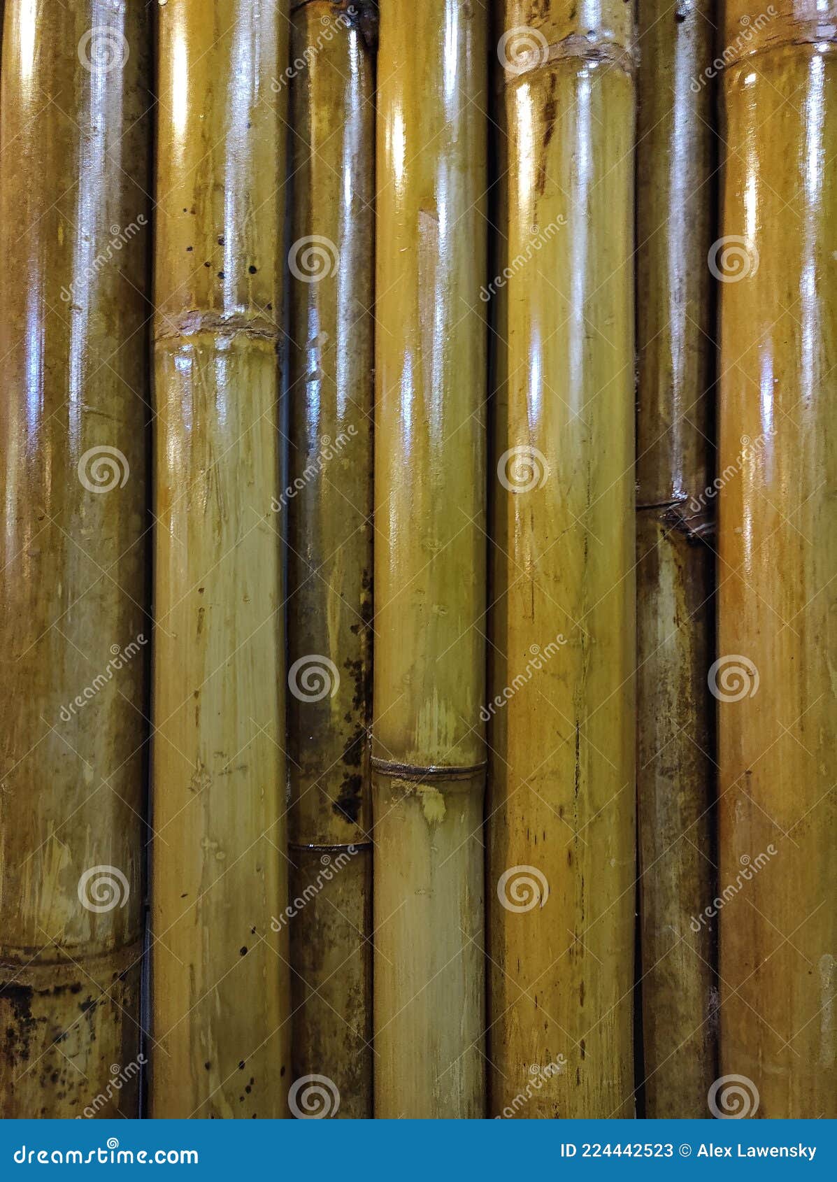 Bamboo for art stock image. Image of decoration, nature 224442523