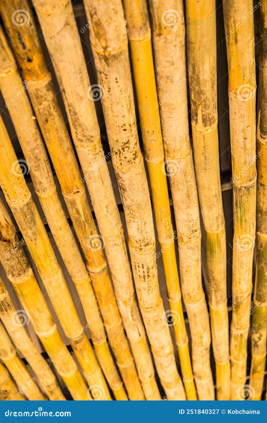 Bamboo rods for decoration stock image. Image of pattern 251840327