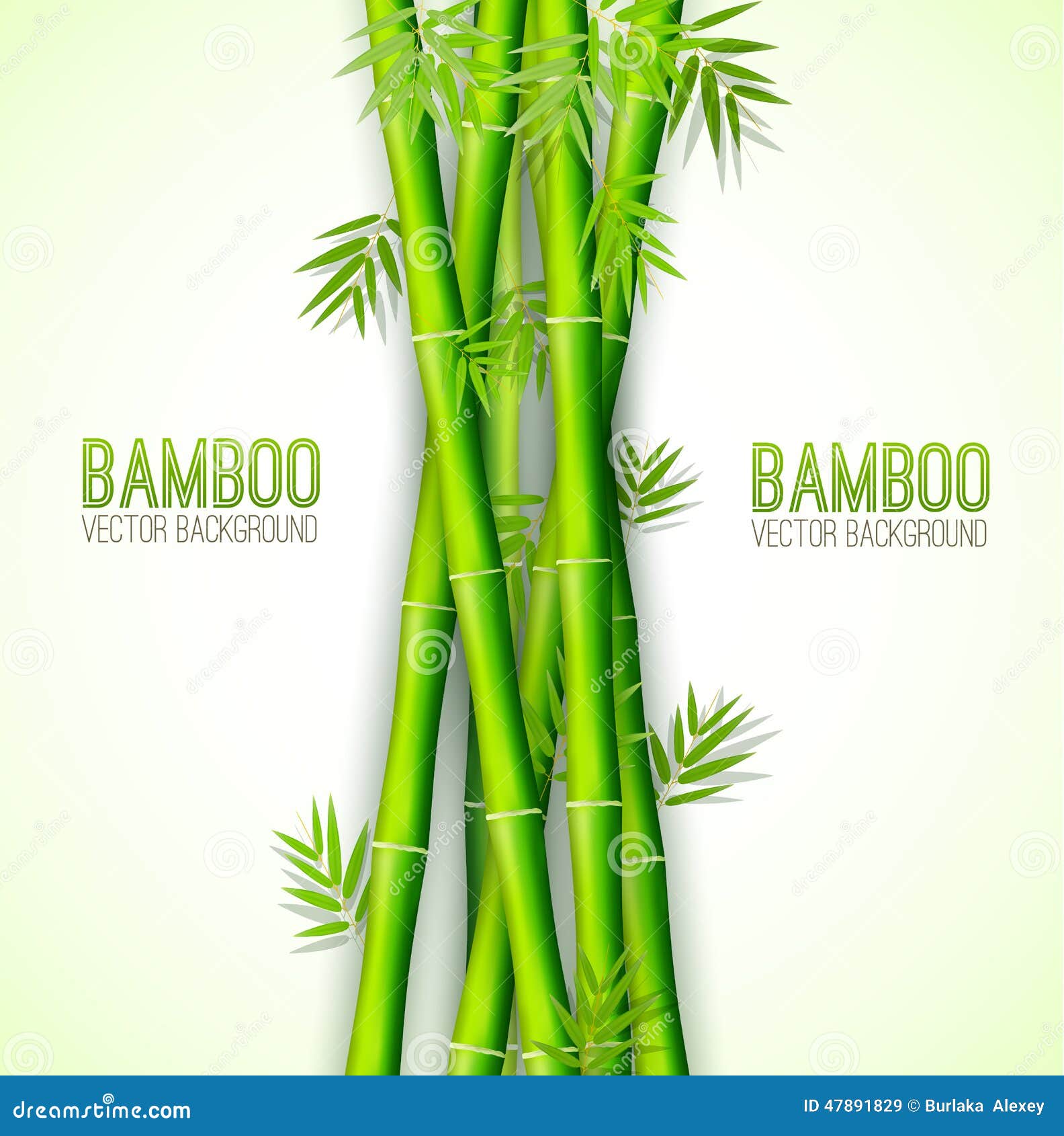 Bamboo Background Concept Vector Illustration Stock Vector Image