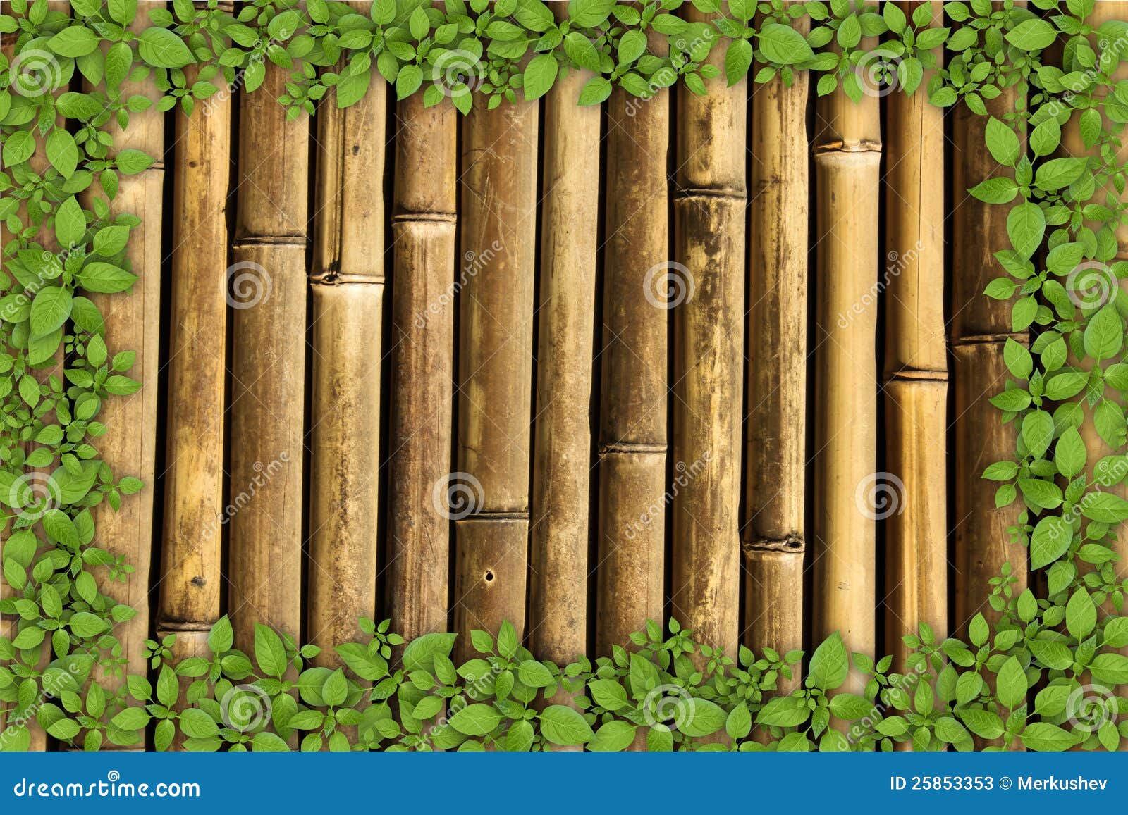 Bamboo Background with Green Plant Border Stock Image Image of nature
