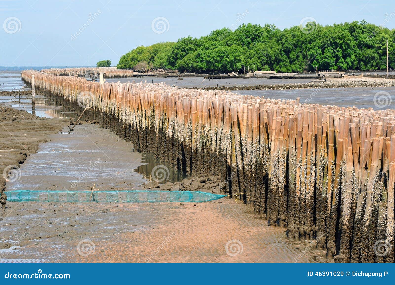 Bamboo Barrier stock image. Image of warming, shell, samutsakhon 46391029