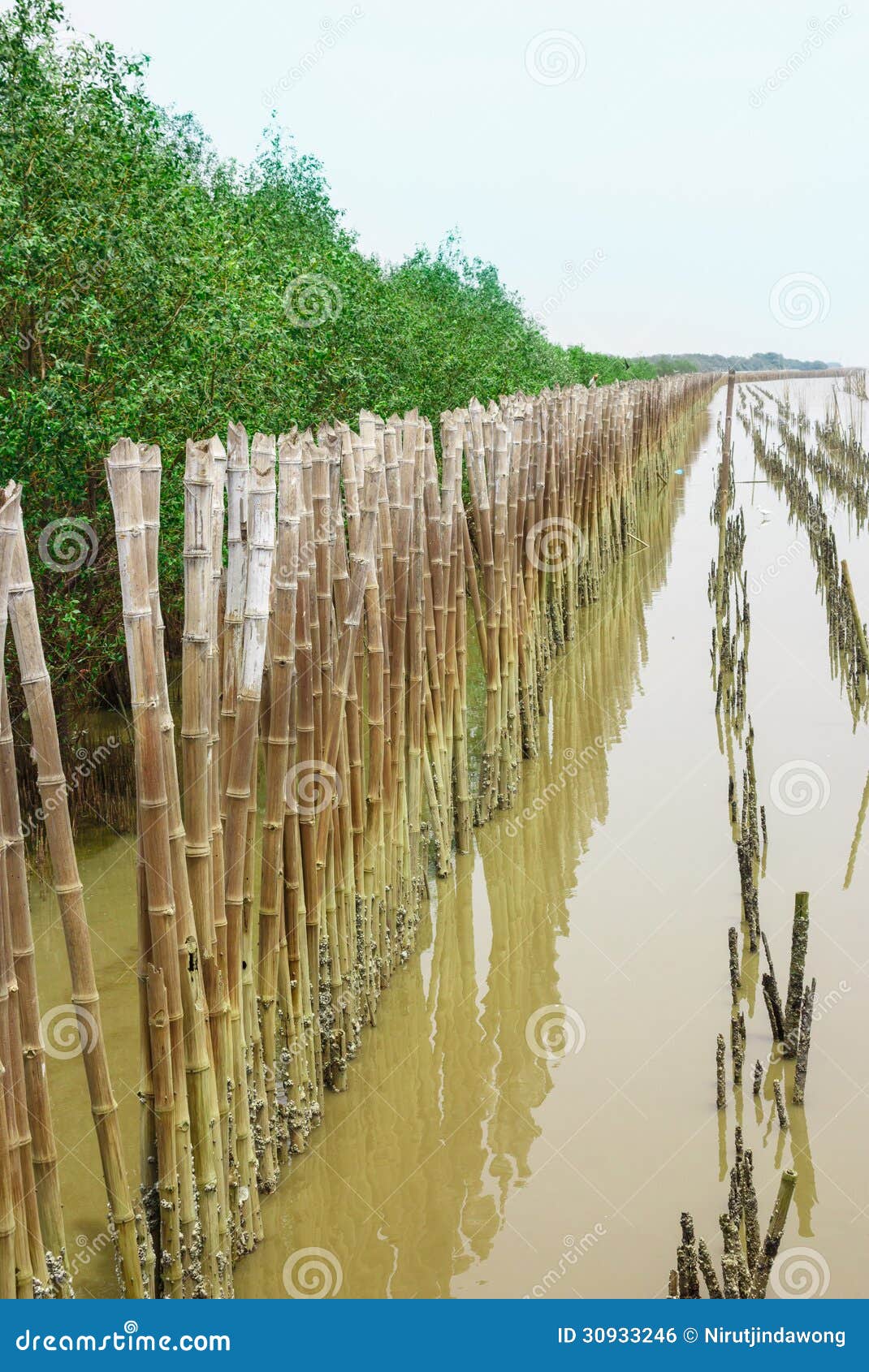 Bamboo Barrier Royalty Free Stock Image Image 30933246