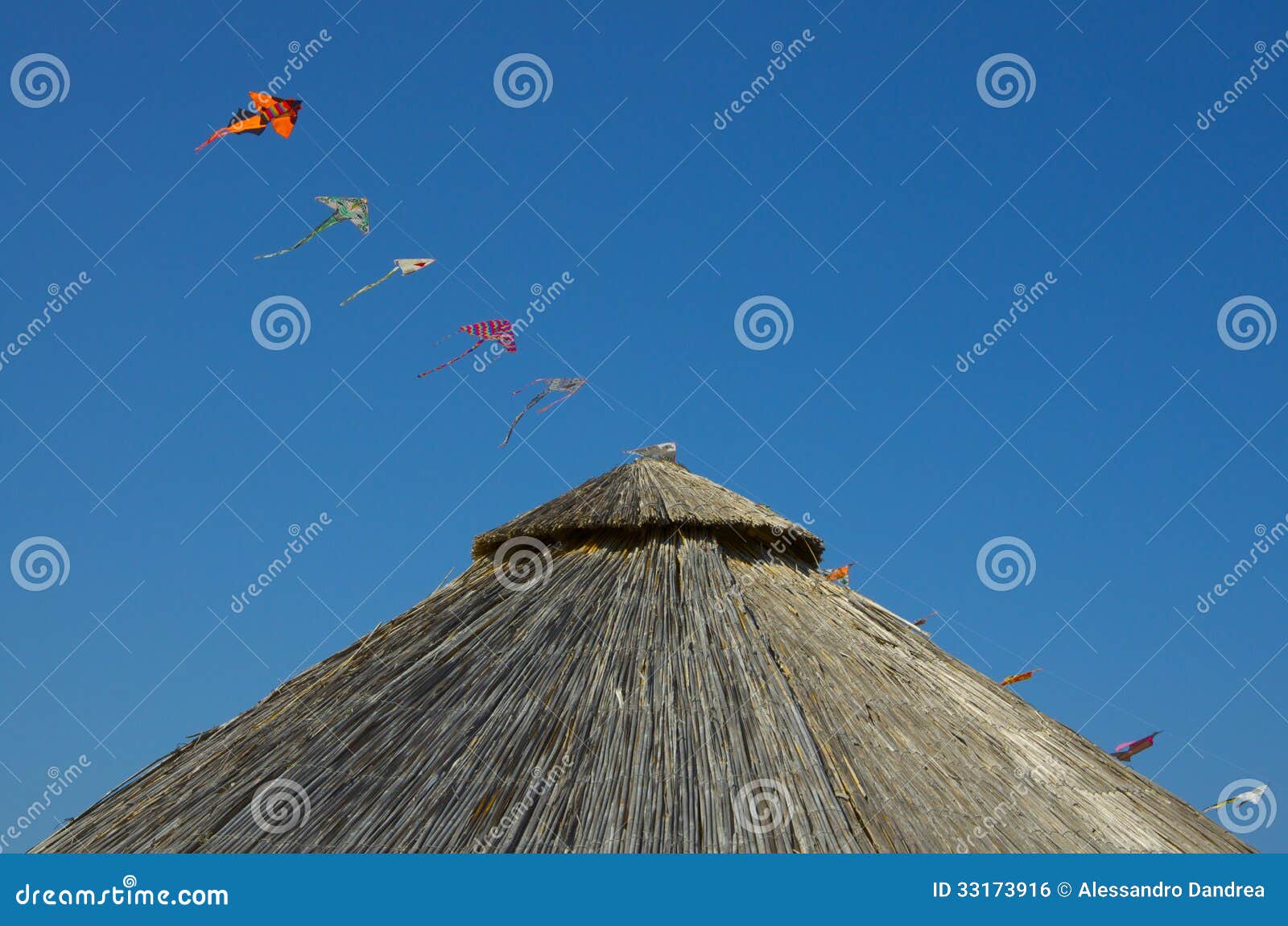Bamboo Beach Umbrella and Kites Over a Blue Sky Stock Photo Image of
