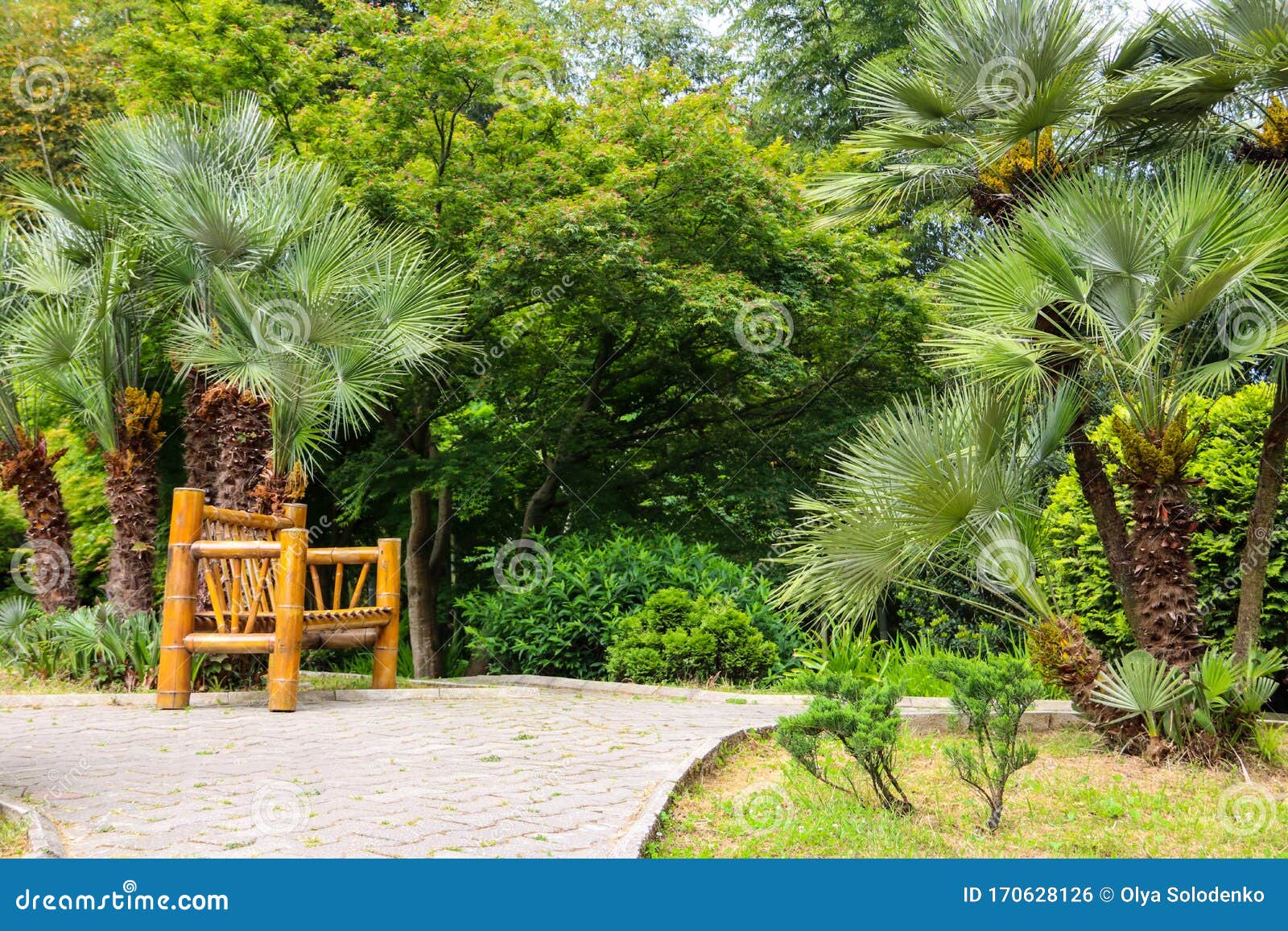 Bamboo Bench in Batumi Botanical Garden, Stock Photo Image of