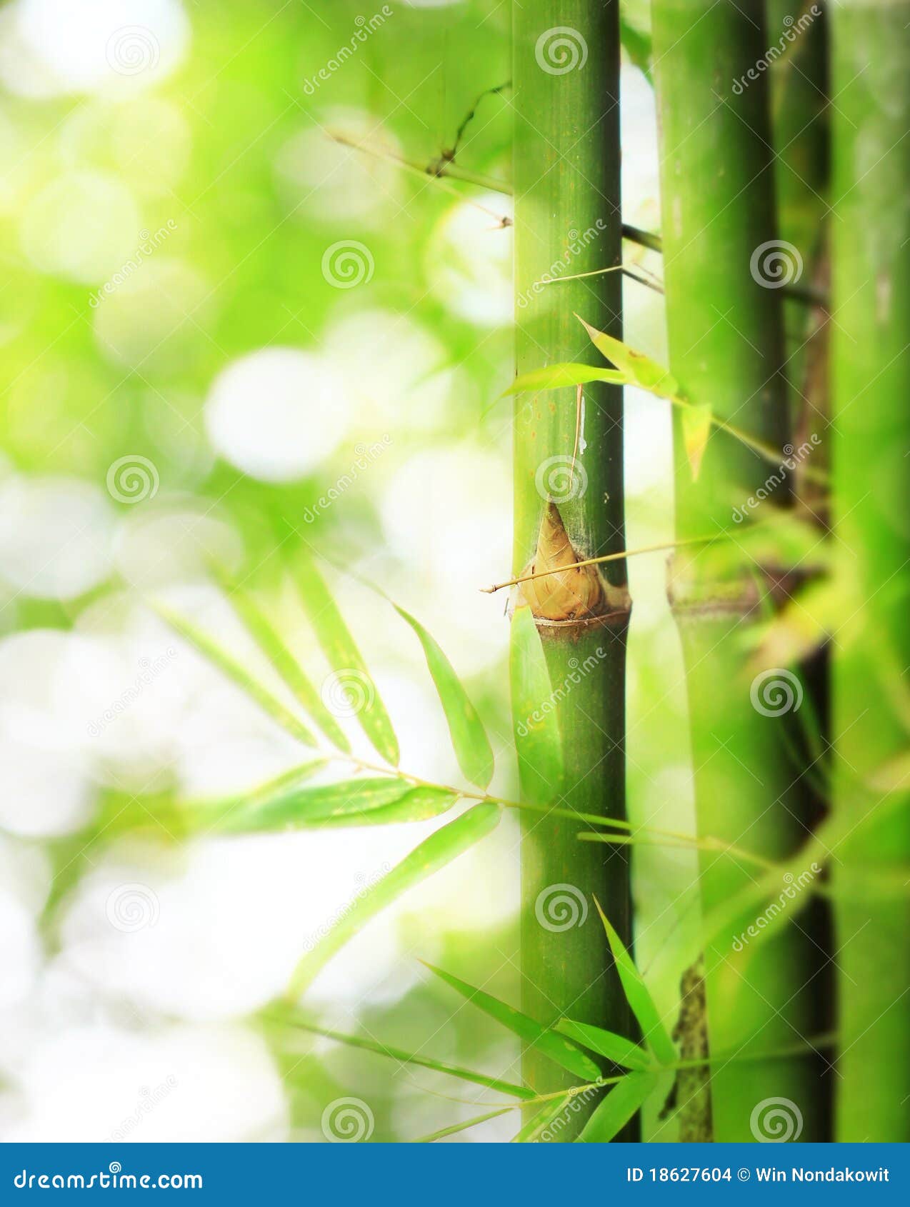 bamboo boke