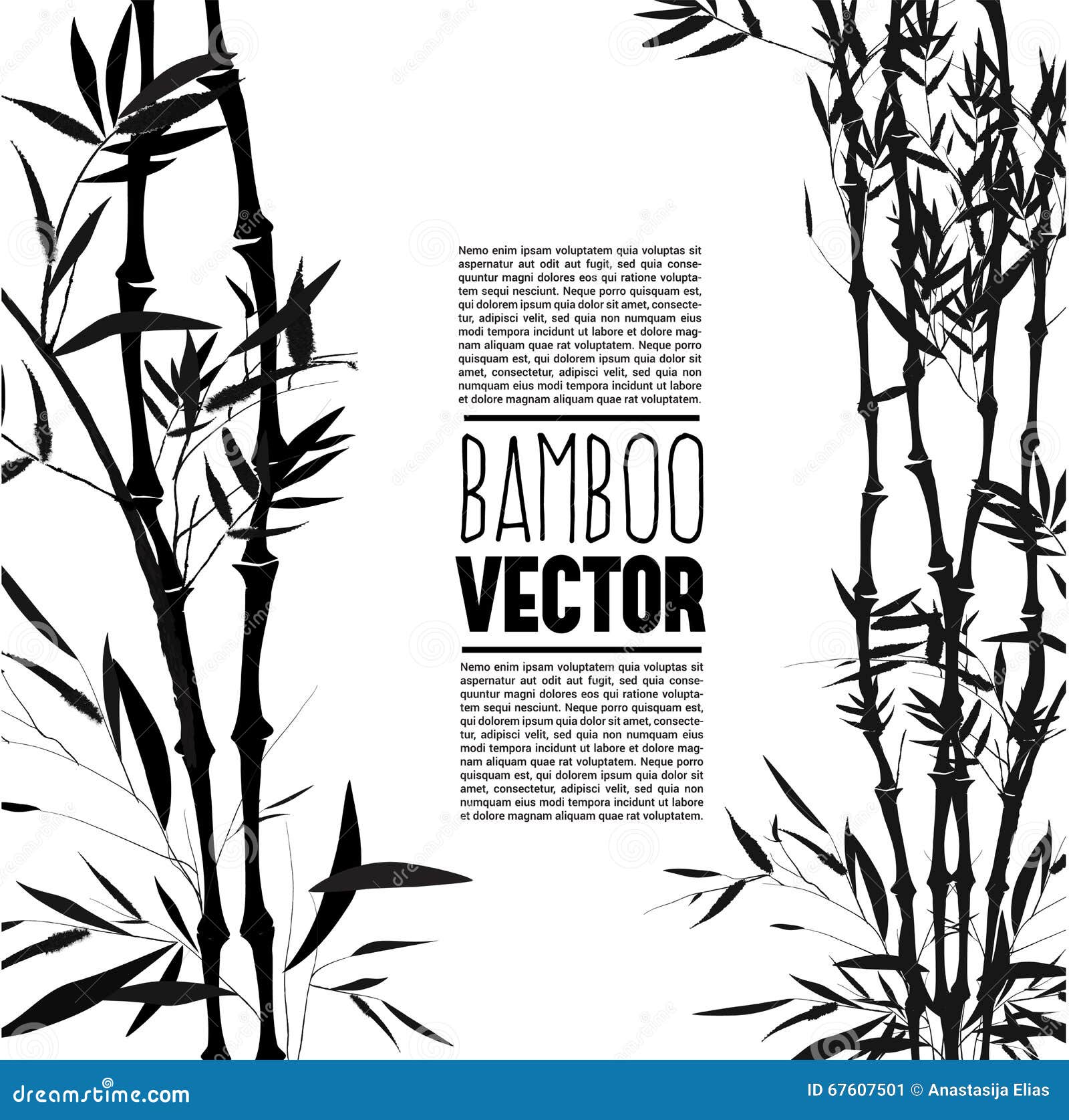Bamboo Bush Growth Stages. Clumping Bamboos Ripening Period Progression