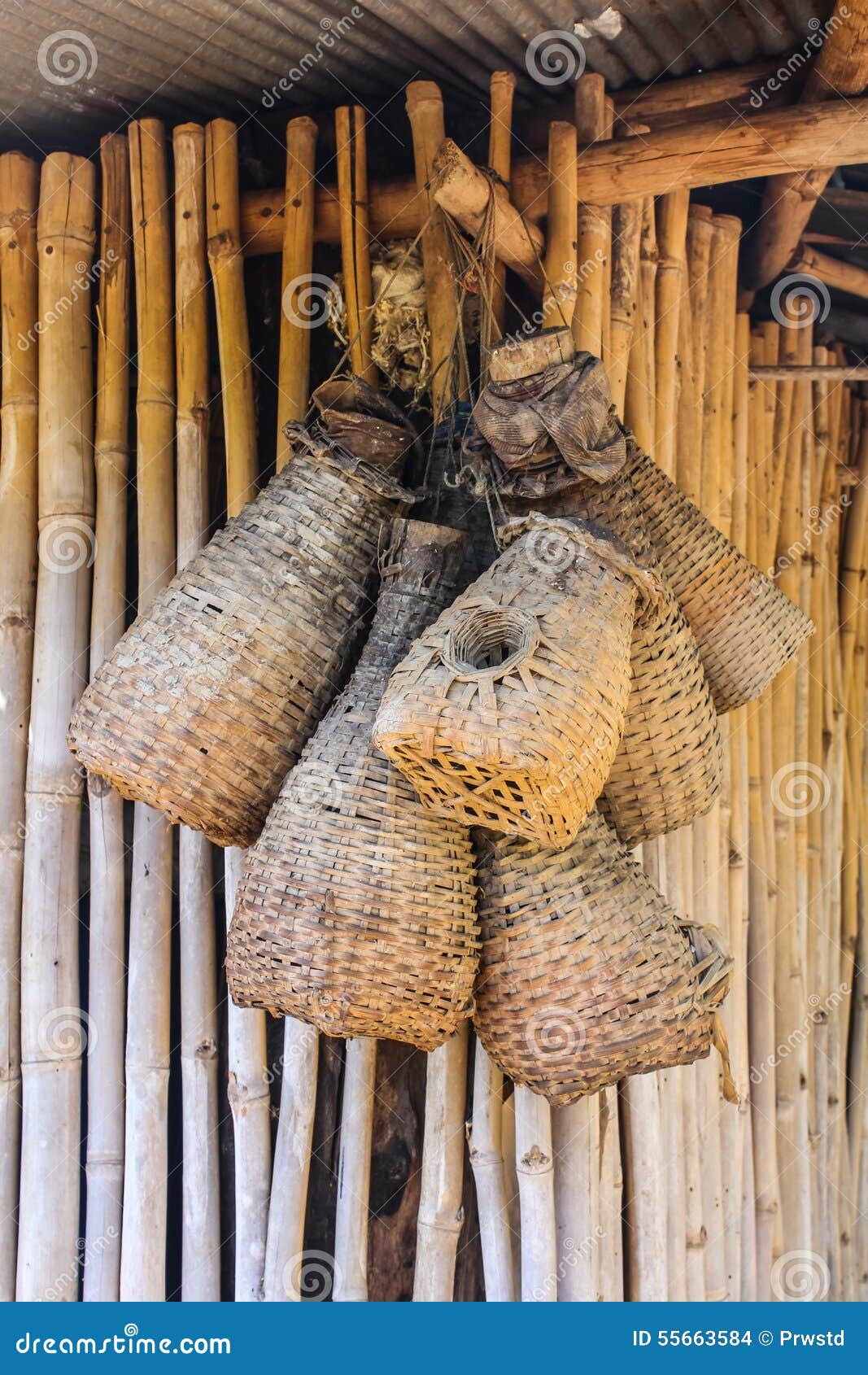 Bamboo Eel Trap Norther Thai Style Stock Photo - Image of hanging