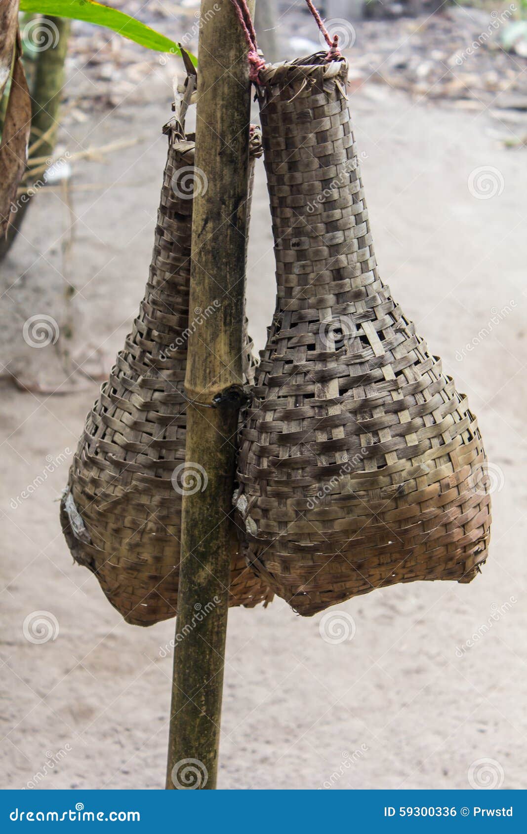 Bamboo Eel Trap Norther Thai Style Stock Photo - Image of hanging
