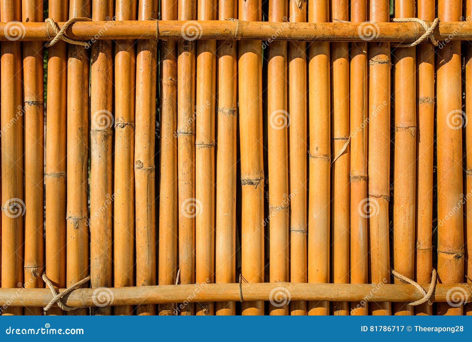Bamboo Fence Background Texture with Rope Tide at Head Stock Image