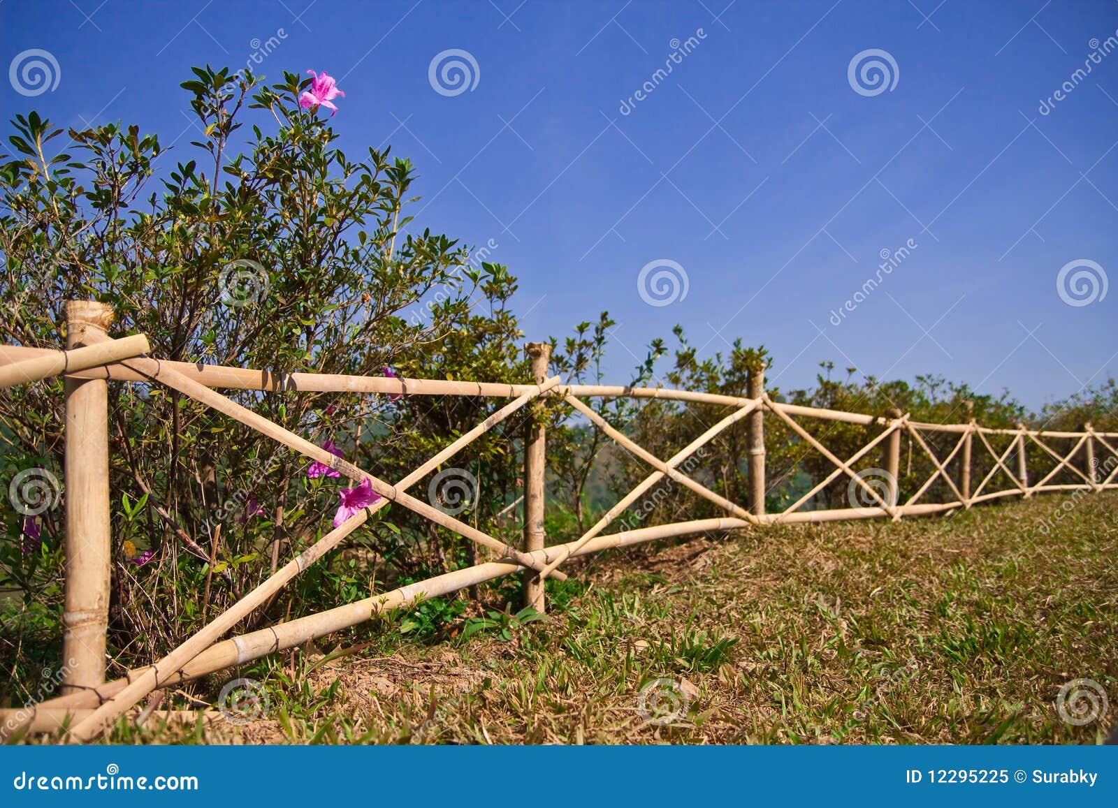 Bamboo Fence in Farm, North of Thailand Stock Image Image of
