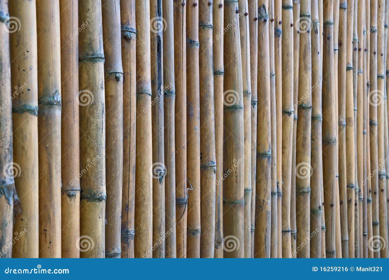 Bamboo fence, Thailand. stock photo. Image of architecture 16259216