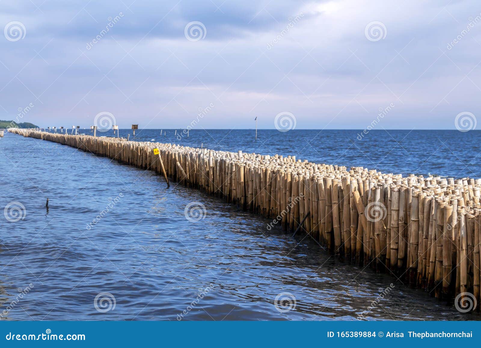 bamboo fence wall is breakwater for protecting the shore and mangrove forest from wave erosion and storm in sea. tranquil idyllic