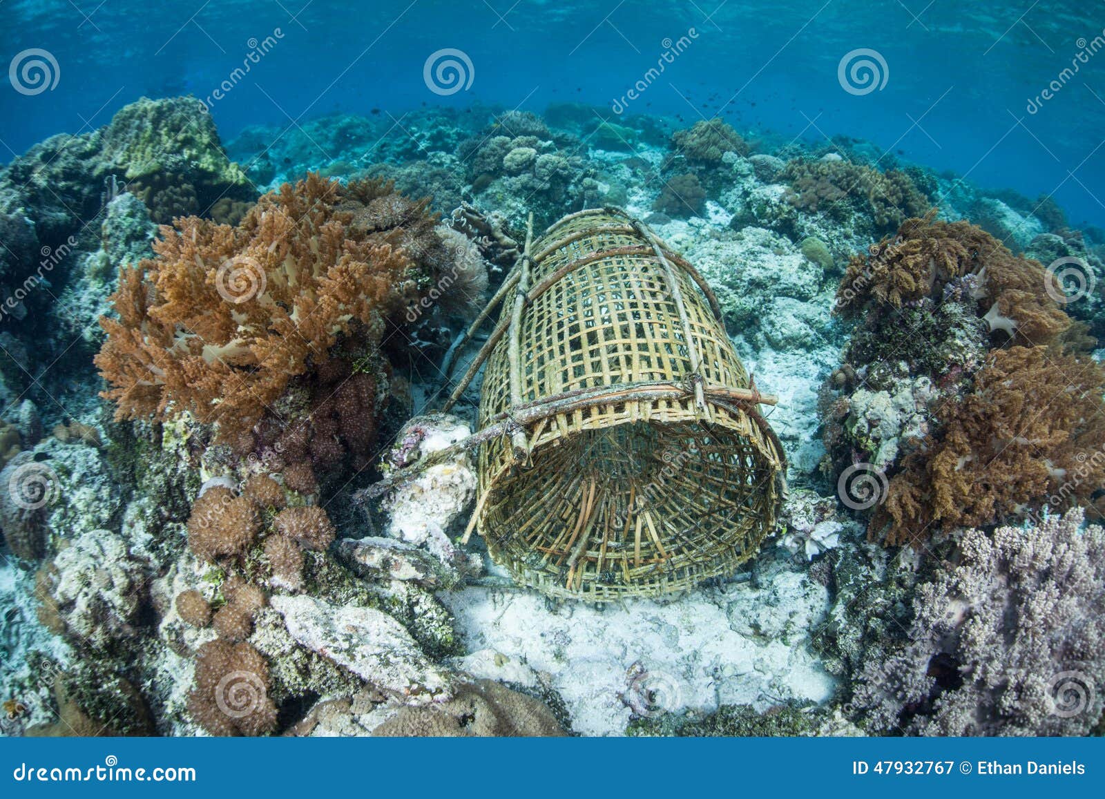 2,630 Underwater Fish Trap Images, Stock Photos, 3D objects