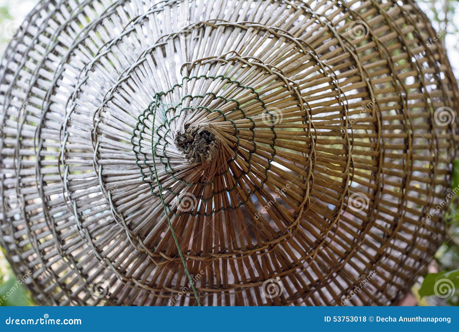 Bamboo fish trap stock photo. Image of shell, thai, national