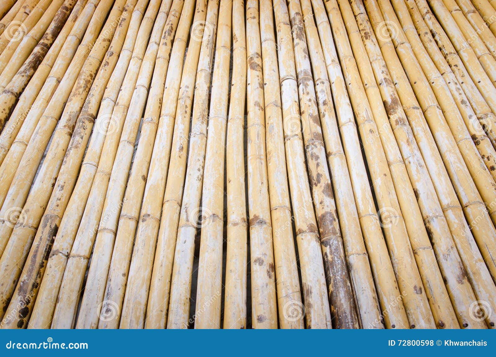 Bamboo flooring stock photo. Image of flooring, nature 72800598