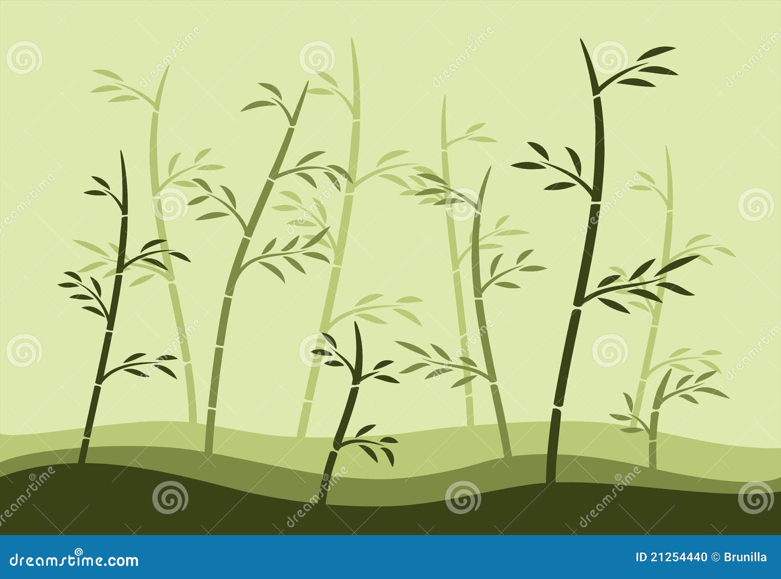 Bamboo forest stock illustration. Illustration of wood - 21254440