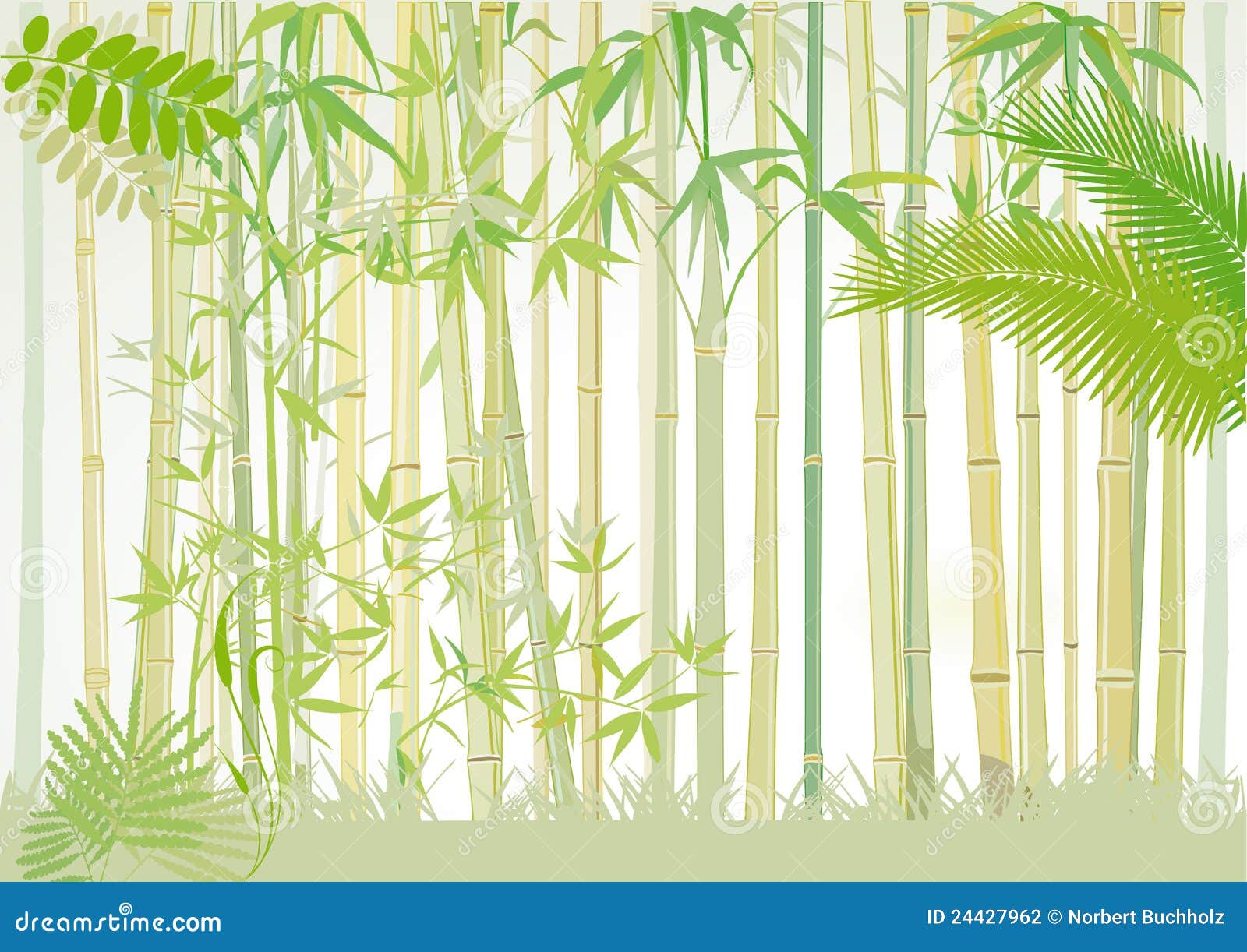 Bamboo Forest, A Serene Pathway Through A Lush Bamboo Forest. Stock ...