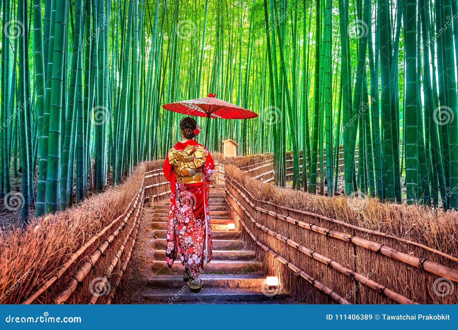 bamboo forest. asian woman wearing japanese traditional kimono at bamboo forest in kyoto, japan