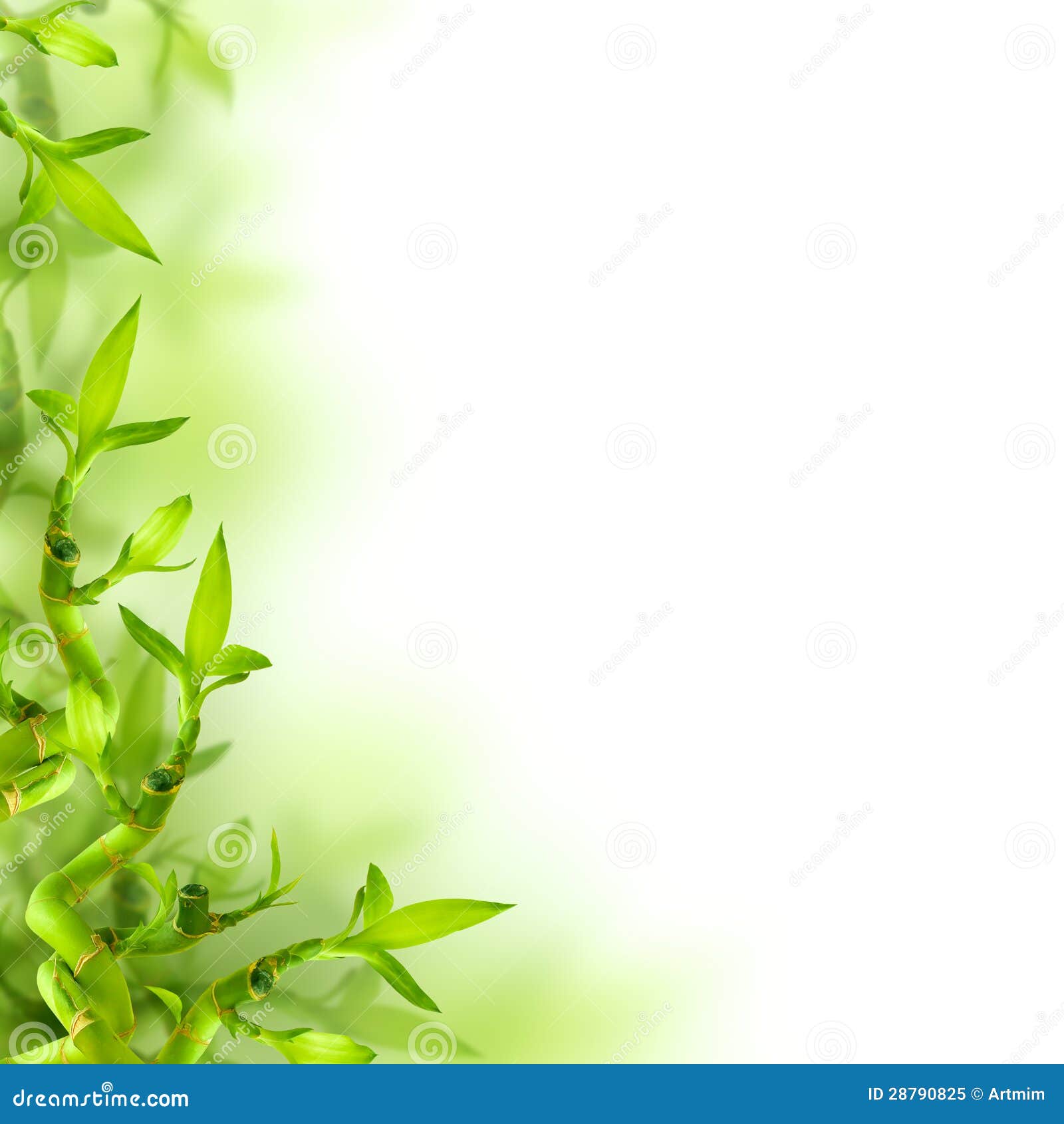 Bamboo and Green Leaves, Background Stock Image - Image of east, concepts:  28790825
