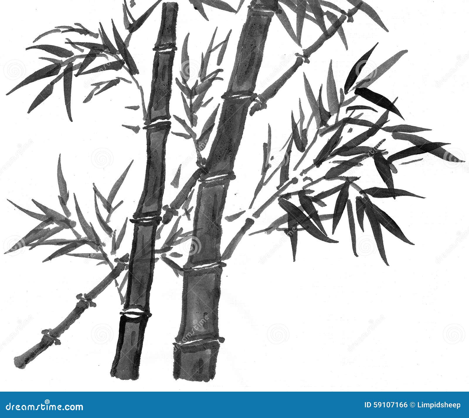 Sumie Bamboos Suibokuga RoyaltyFree Stock Photo