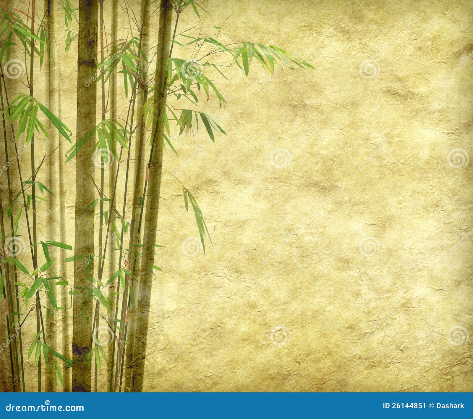 bamboo to paper bamboo to paper
