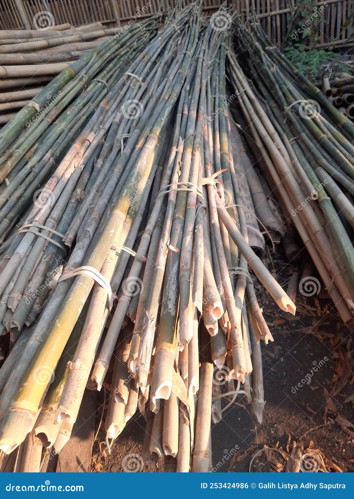 Bamboo pile on the ground stock photo. Image of wood 253424986
