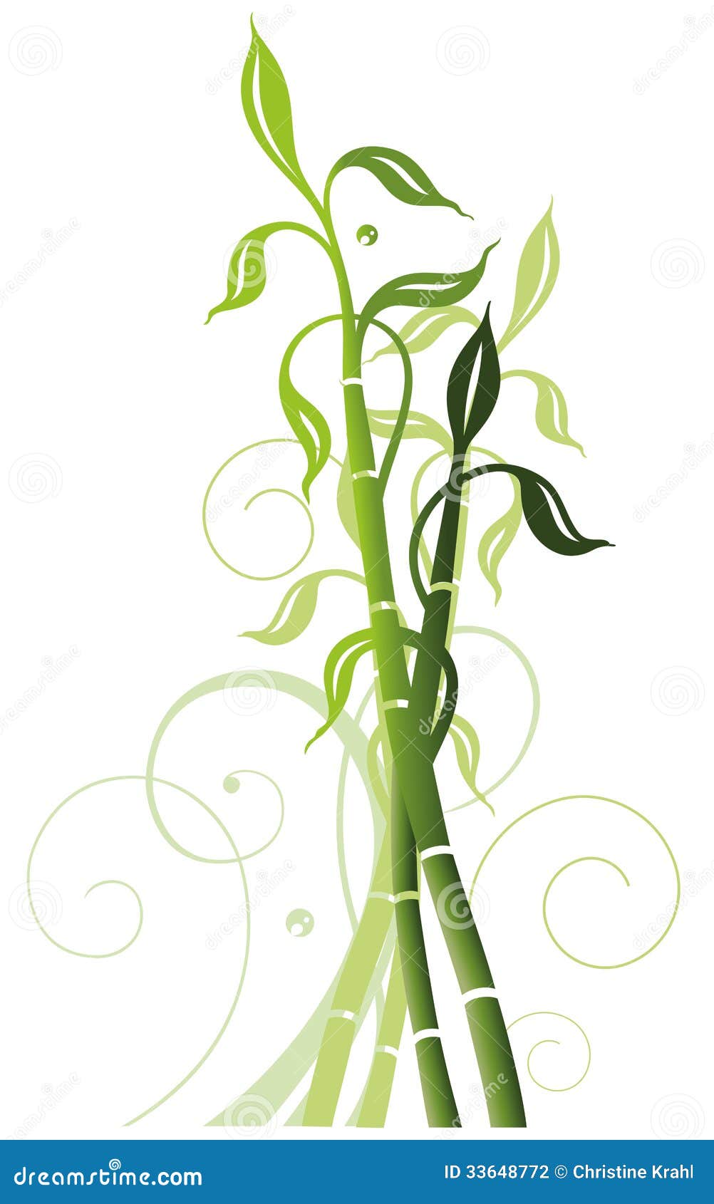 Bamboo, plant, border stock vector. Illustration of nature